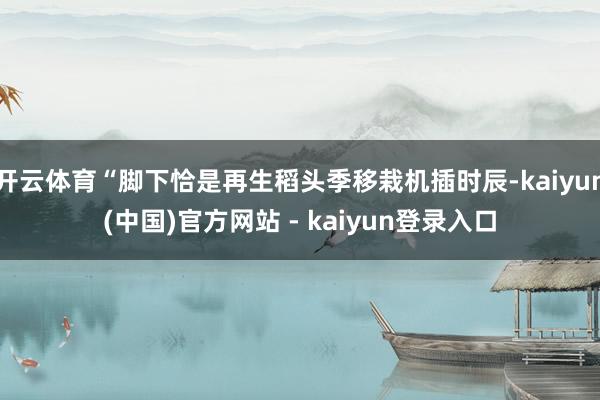 开云体育“脚下恰是再生稻头季移栽机插时辰-kaiyun(中国)官方网站 - kaiyun登录入口