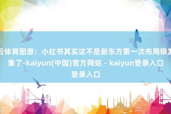 开云体育图源：小红书其实这不是新东方第一次布局银发市集了-kaiyun(中国)官方网站 - kaiyun登录入口